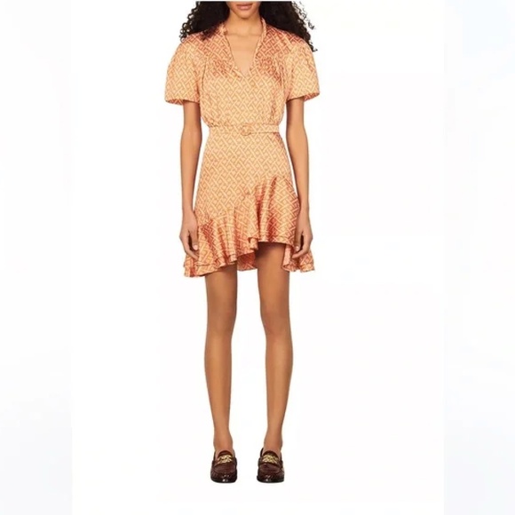 Suzen Asymmetric Ruffle Mini Dress - Picture 1 of 6